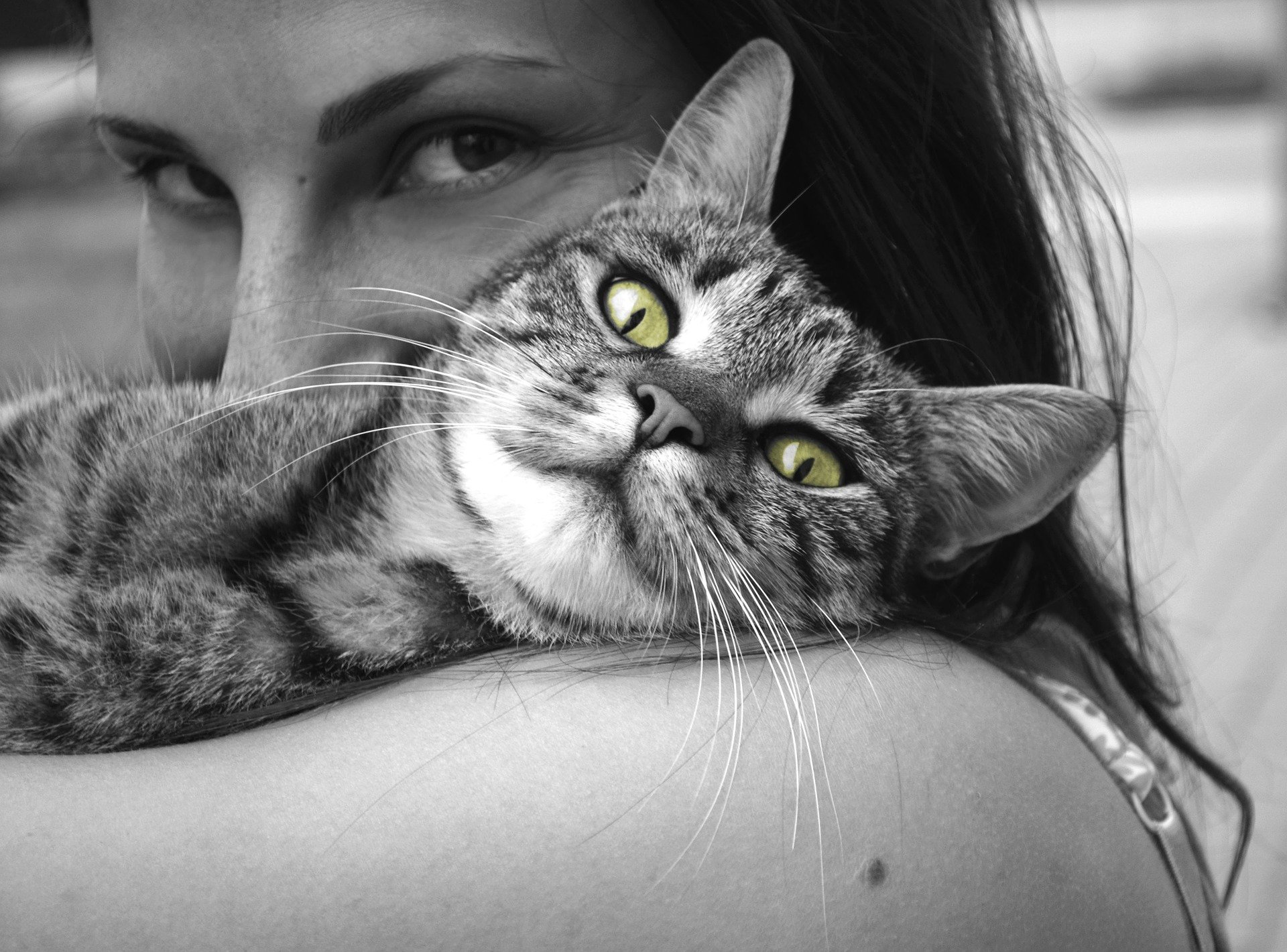woman hugging cat - 8 ways animals are part of the family